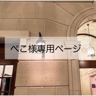 キングアンドプリンス(King & Prince)の平野紫耀 永瀬廉 うちわ文字(印刷物)