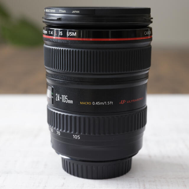 Canon EF 24 105mm f/4 L IS USM