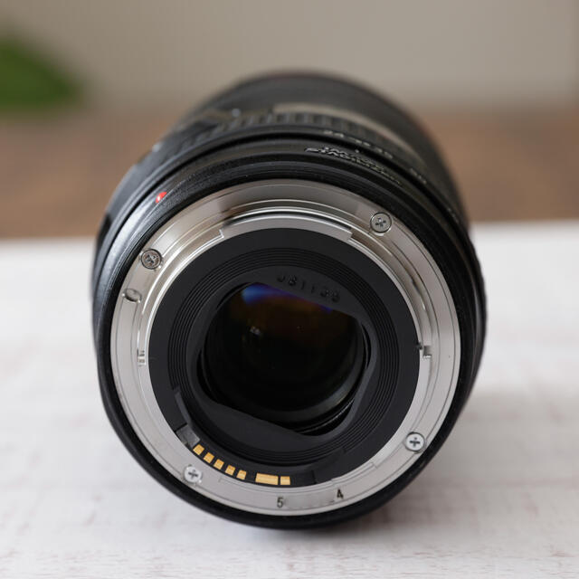 Canon EF 24 105mm f/4 L IS USM