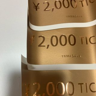 スコットクラブ(SCOT CLUB)のヤマダヤ 金券 チケット 6000円分(ショッピング)