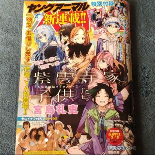 ハクセンシャ(白泉社)のヤングアニマル  最新号(アート/エンタメ/ホビー)