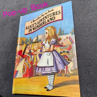 洋書ALICE'S ADVETURES IN WONDERLAND(絵本/児童書)