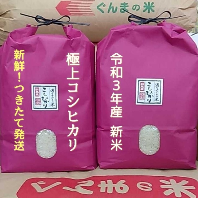 食品/飲料/酒新米！令和3年産！極上コシヒカリ！玄米or精米or無洗米！20