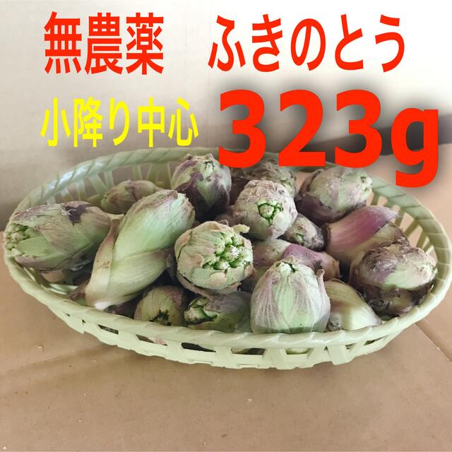 埼玉県産　無農薬　ふきのとう　蕗の薹　300gオーバー 食品/飲料/酒の食品(野菜)の商品写真