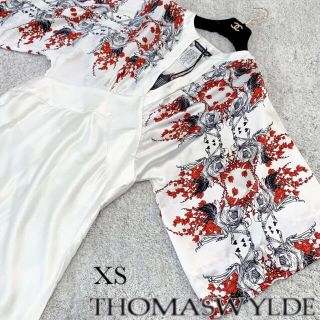 アレキサンダーマックイーン(Alexander McQueen)の【シルク生地】THOMASWYLDE トーマスワイルド スカル柄 ロングドレス(ロングワンピース/マキシワンピース)