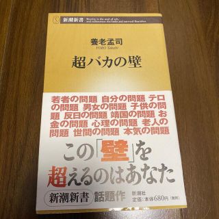 超バカの壁(その他)