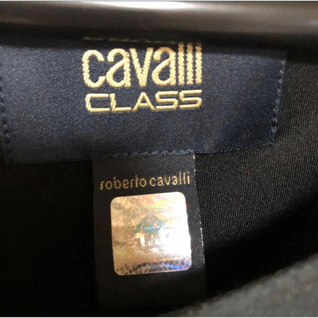 Roberto Cavalli(ロベルトカヴァリ)のCAVALLI CLASS クラス　カヴァリ　ストレッチワンピース　44 レディースのワンピース(ひざ丈ワンピース)の商品写真
