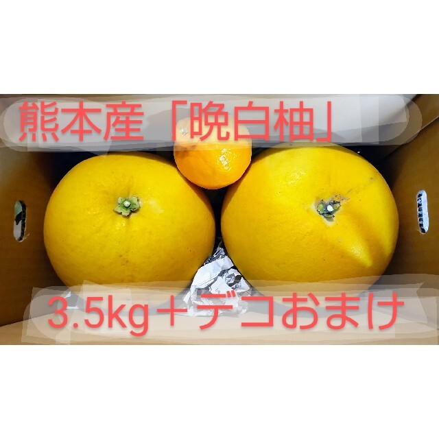 3.5kg　by　熊本産みかんの通販　☆「晩白柚」２個入り+デコポンおまけ　熊本みかん元気栽培「さかど農園」｜ラクマ