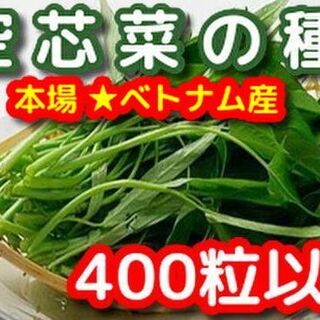 空芯菜の種20g(400粒以上)本場ベトナム産(野菜)