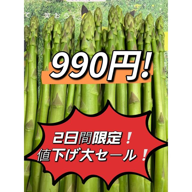 春一番グリーンアスパラガス500g 食品/飲料/酒の食品(野菜)の商品写真