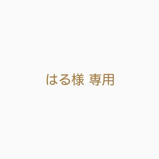 はる様専用 ドライフラワー 10本(ドライフラワー)