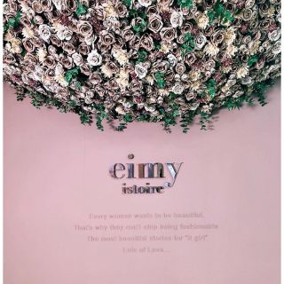 エイミーイストワール(eimy istoire)のa様専用♡eimy istoire♡シアーコンビプリーツスカート♡ミント(ロングスカート)