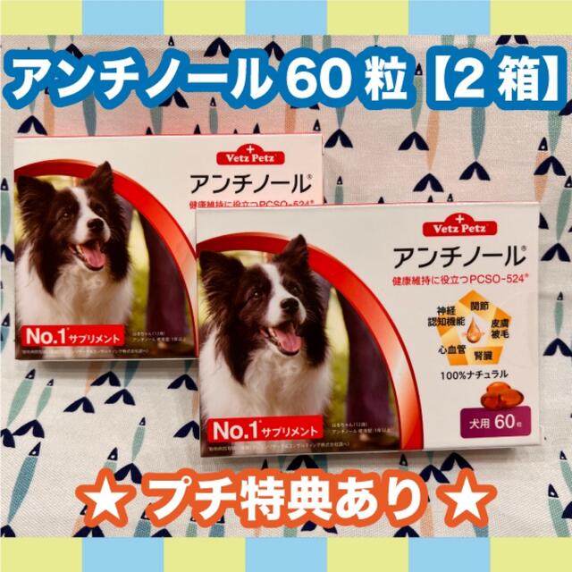 アンチノール 犬用 60粒 2箱〈おまけ付き〉の通販 by ミーナ＊。｜ラクマ