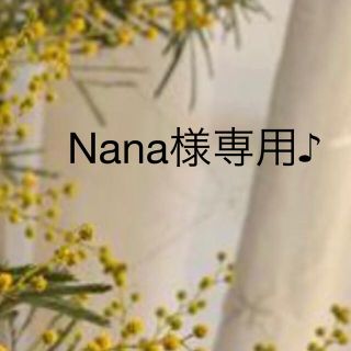 ♪Nana様専用♪ 91  ミランドール　1箱(その他)