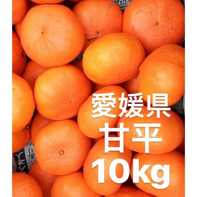 柑橘　甘平　10kg　フルーツ　愛媛県産　みかん