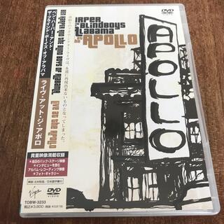ベンハーパー　BEN HARPER ライヴ・アット・ジ・アポロ DVD(ミュージック)