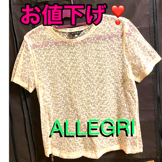 アレグリ(allegri)のお値下げ❣️allegri  透かし編みレース刺繍レースTシャツ(Tシャツ(半袖/袖なし))