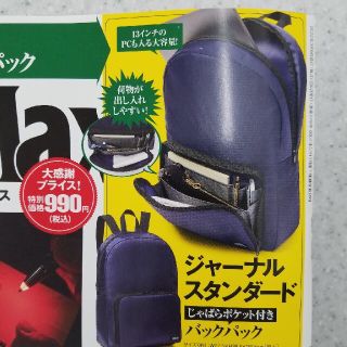 ジャーナルスタンダード(JOURNAL STANDARD)のジャーナルスタンダードじゃばらポケットつきバックパック(バッグパック/リュック)