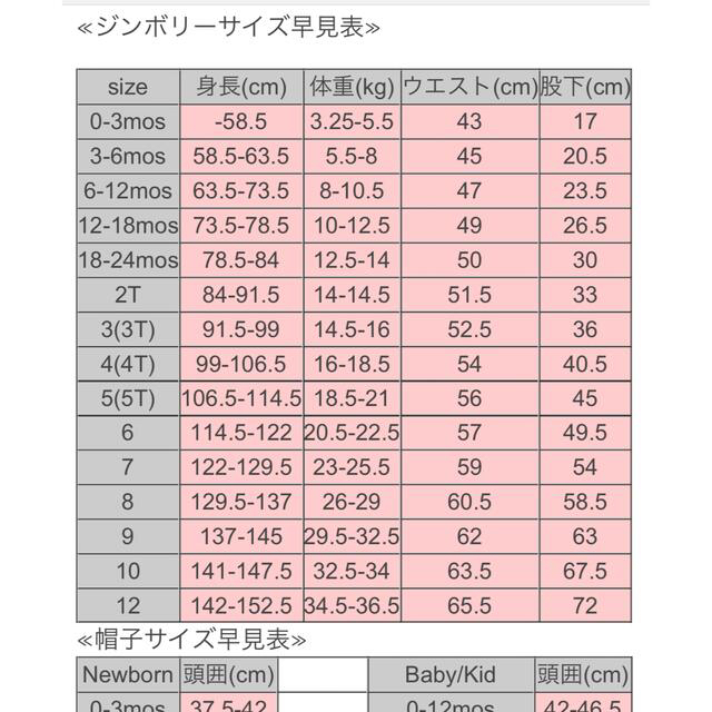 GYMBOREE(ジンボリー)の未使用★ ジンボリー　ワンピース　18-24ヶ月 80センチ　裏地付き キッズ/ベビー/マタニティのベビー服(~85cm)(ワンピース)の商品写真