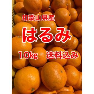 和歌山県産　はるみ　10㎏　家庭用　送料込み(フルーツ)