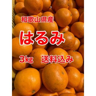 和歌山県産　はるみ　3㎏　家庭用　送料込み(フルーツ)