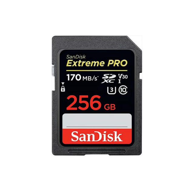 SanDisk サンディスク　256GB SDカード　SDXCカード