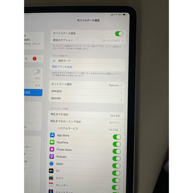 iPad Pro 11 Wi-Fi + Cellular 64GB ジャンク