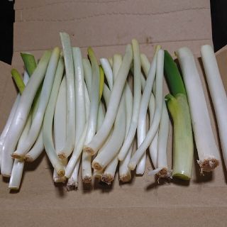 ✳️カット西田白ネギ✳️Ｂ品 パケット便(野菜)