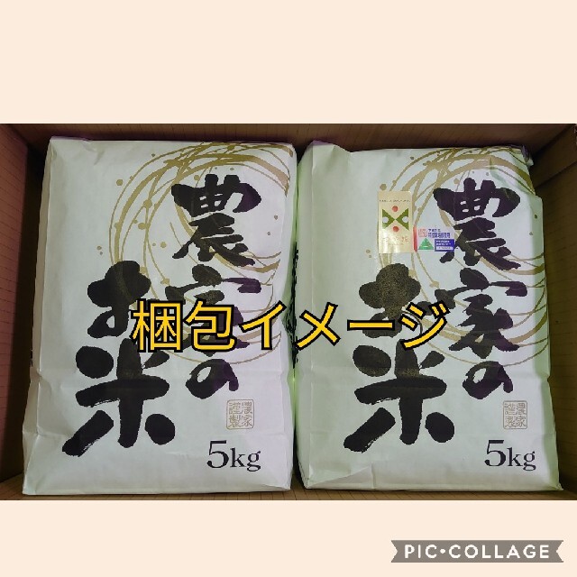 つや姫10kg　山形県産令和３年産 2