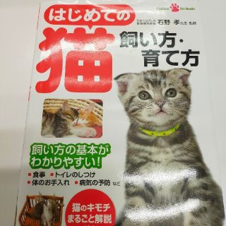 はじめての猫飼い方・育て方 飼い方の基本がわかりやすい！(住まい/暮らし/子育て)