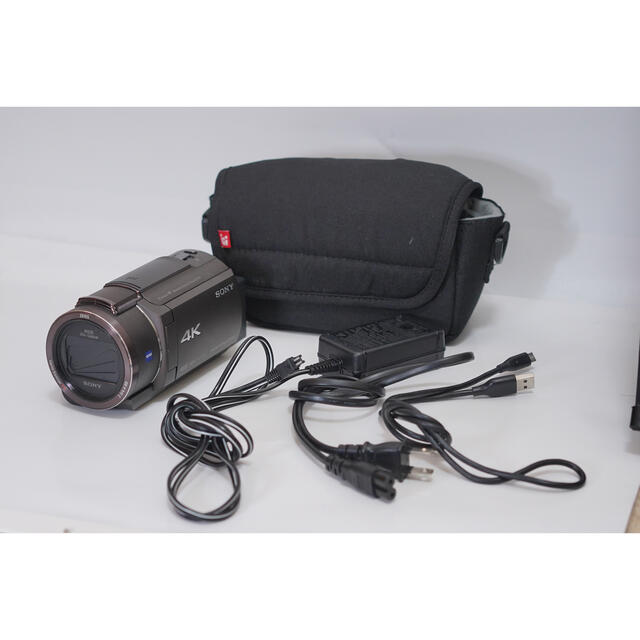 正規品】 SONY - FDR-AX45(TI) SONY ビデオカメラ - saintbenevolence.com