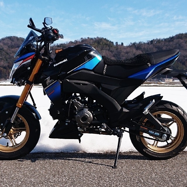 カワサキ(カワサキ)のカワサキ Z125pro スペシャルエディション 生産中止モデル 走行948キロ 自動車/バイクのバイク(車体)の商品写真