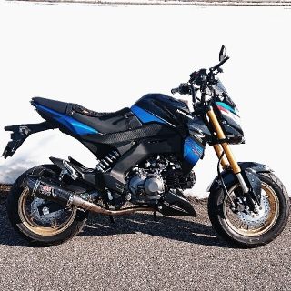 カワサキ(カワサキ)のカワサキ Z125pro スペシャルエディション 生産中止モデル 走行948キロ(車体)