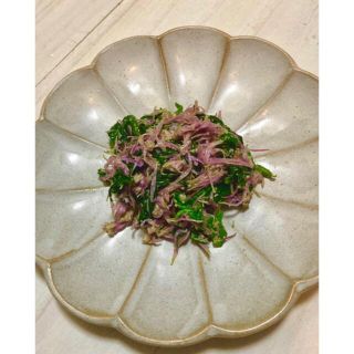 即納できます 食用菊『かしろ』の苗 1〜2年生株 B 野菜 ... クール便対応 信州産 松茸 傷あり特価品 10/18収穫 322g