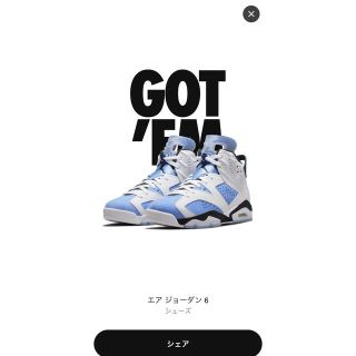 ナイキ(NIKE)のNike Air Jordan 6 "UNC" 28.5cm(スニーカー)