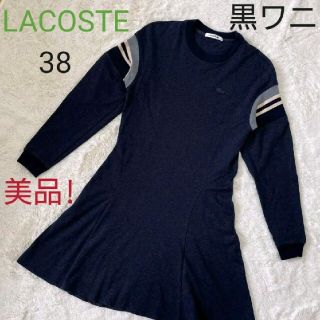 ラコステ(LACOSTE)の【美品!】LACOSTE　ラコステ　ミディ丈ワンピース　ロゴ入り　ネイビー　38(ひざ丈ワンピース)