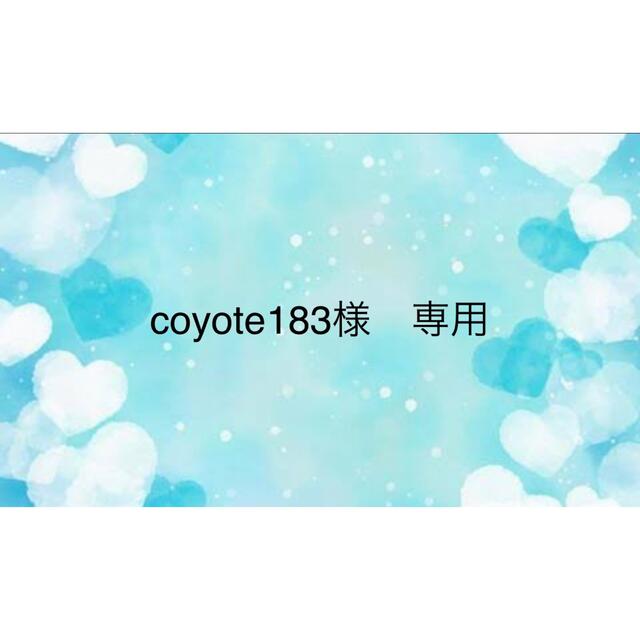 coyote183様専用 美容液
