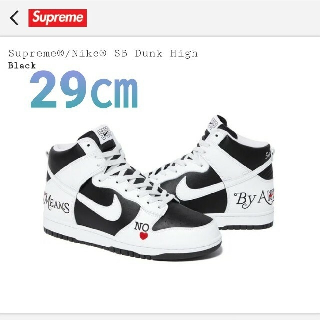 靴/シューズSupreme Nike SB Dunk High 29cm