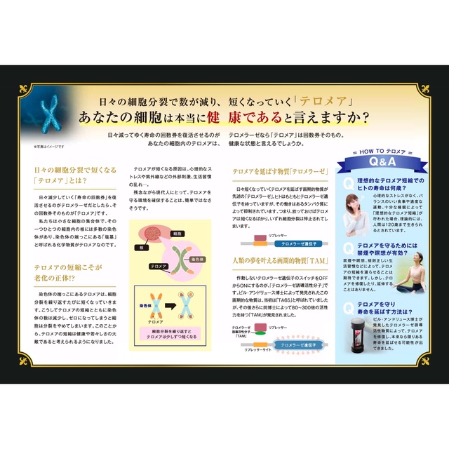 ROYAL RICH TEROMERE INFINITY SPRAY 5本セット