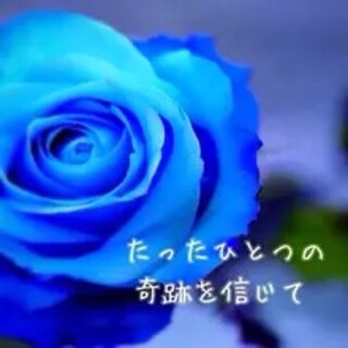 コンテンツ優勝作品✨マダガスカル✨ローズクォーツ✨薔薇デザイン✨ペンダントトップ(ネックレス)