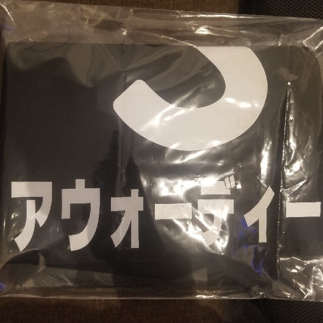 [競馬]G1馬 アウォーディー 実使用ゼッケン スポーツ/アウトドアのスポーツ/アウトドア その他(その他)の商品写真