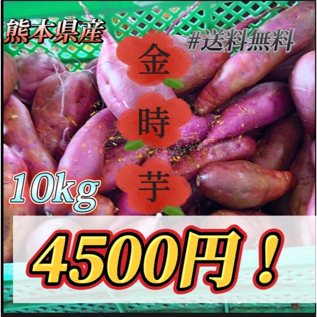 1箱約10kg！☆　熊本県産　金時芋(優品)