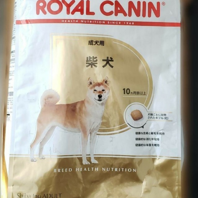 ロイヤルカナン犬 柴犬 成犬用 8kg 二個セット大量 - www.stedile.com.br