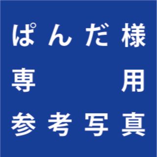 ぱんだ様ご提案分　姫厳龍　未選別優・選抜　台湾株 5,500円2株セット(プランター)