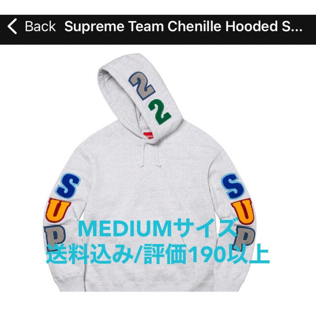 Supreme Team Chenille  Hooded Sweatshirt