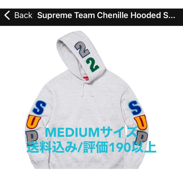 Supreme Team Chenille Hooded Sweatshirt 'Ash Grey