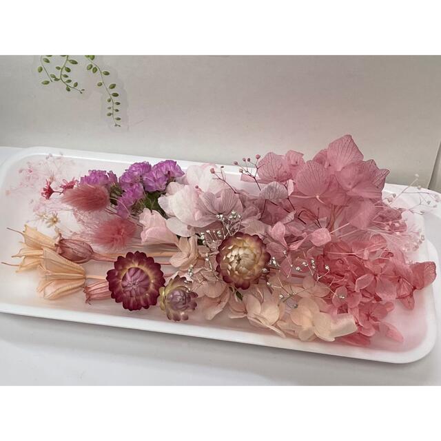 花材セット レッド No.510 | www.myglobaltax.com 花材セット レッド No.510 | www.myglobaltax.com