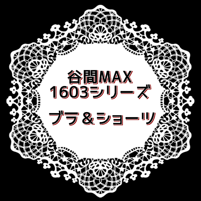 ご確認用です✿谷間MAX　1603シリーズ レディースの下着/アンダーウェア(ブラ&ショーツセット)の商品写真