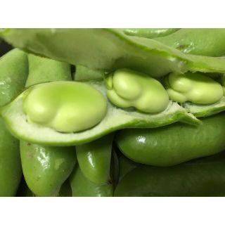 そら豆(野菜)