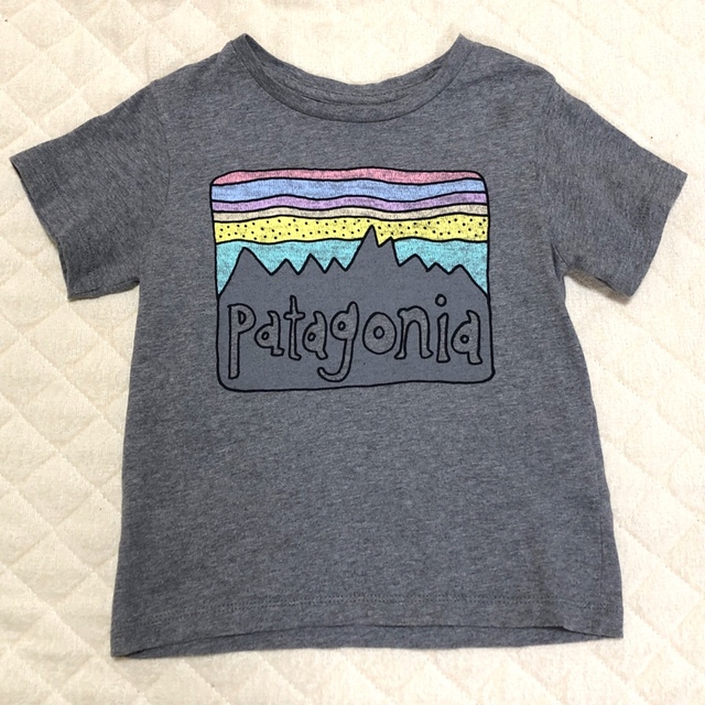 patagonia(パタゴニア)のpatagonia 半袖Tシャツ　グレー　2T パタゴニア  キッズ/ベビー/マタニティのキッズ服男の子用(90cm~)(Tシャツ/カットソー)の商品写真